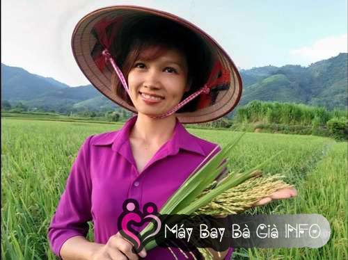 Máy Bay Bà Già Hà Nội